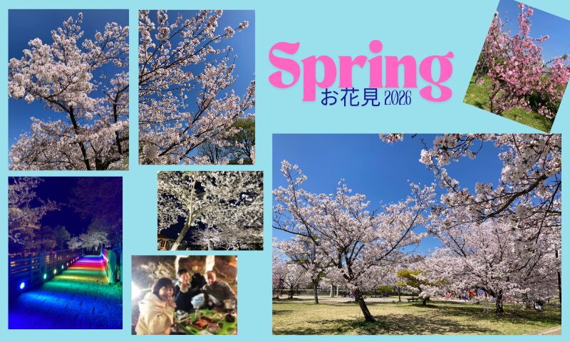 2026 お花見