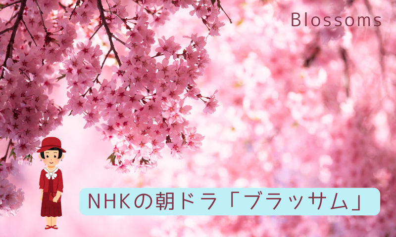NHK朝ドラ「ブロッサム」
